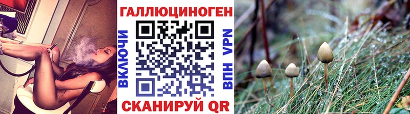 что такое наркотик  Мегион  Псилоцибиновые грибы мухоморы 