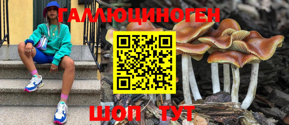 Галлюциногенные грибы мицелий  Вход с VPN  Мегион  Псилоцибиновые грибы MAGIC MUSHROOMS 